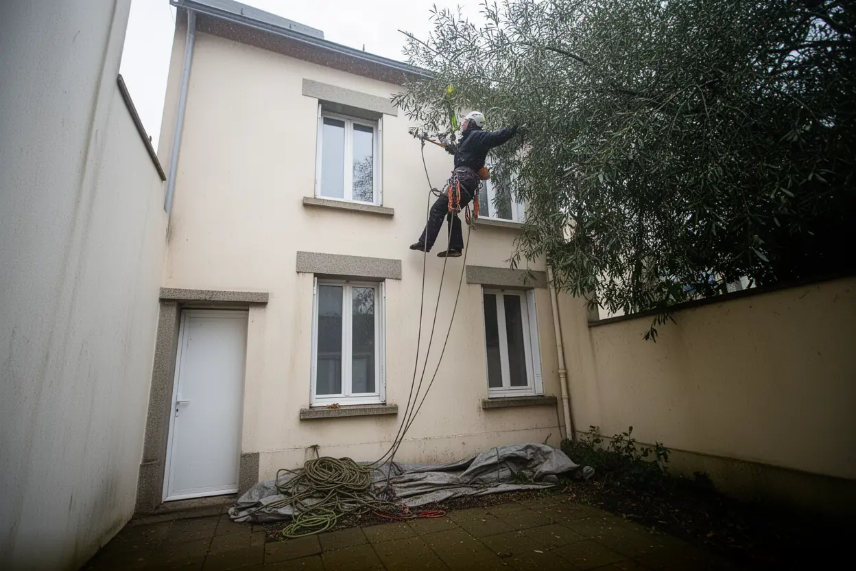 Arboriste grimpeur progressant dans la cime à Trignac